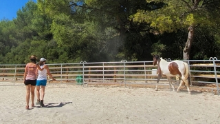 communication sentiente, programme NOW, eponaquest, linda kohanov, carol roush, carole thomas, le pouvoir des chevaux, medicine horse way, equicoaching, horsecoaching, developpement personnel, cheval