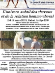 FLyer Atelier Univers Subtil Ariège mars 2019.jpg