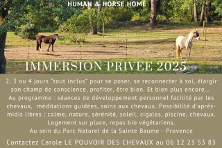 carole thomas, communication sentiente, programme NOW, eponaquest, linda kohanov, carol roush, carole thomas, le pouvoir des chevaux, medicine horse way, equicoaching, horsecoaching, developpement personnel, cheval