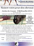 Flyer Atelier Peur Marseille juillet 2014.jpg