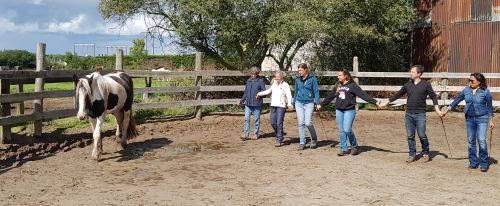 eponaquest, medicine horse way, carol roush, le tao du cheval, linda kohanov, le pouvoir des chevaux, now, equicoaching, carole thomas