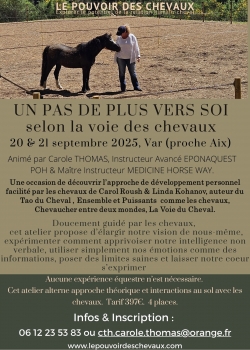 Marron Âgé Photo Bénévole Flyer (4).jpg