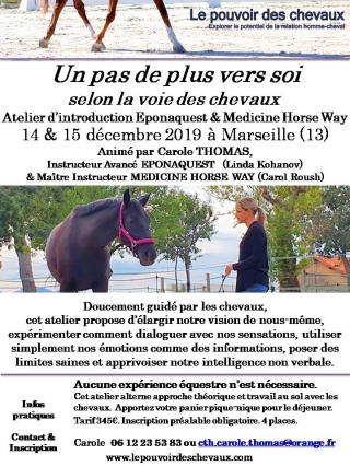 programme NOW, eponaquest, linda kohanov, carol roush, carole thomas, le pouvoir des chevaux, medicine horse way, equicoaching, horsecoaching, developpement personnel, cheval