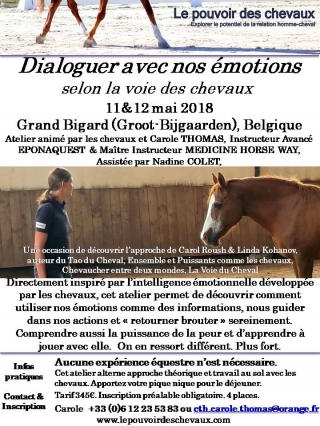 Flyer Atelier Emotion Mai 2018 Belgique.jpg