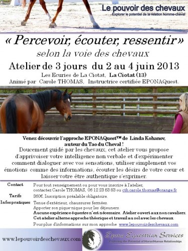 Flyer Atelier Percevoir La Ciotat 2 juin 2013 b.jpg