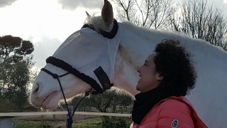 burn out,eponaquest,france,développement personnel,equicaoaching,carole thomas,le pouvoir des chevaux