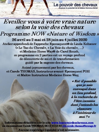 programme NOW, eponaquest, linda kohanov, carol roush, carole thomas, le pouvoir des chevaux, medicine horse way, equicoaching, horsecoaching, developpement personnel, cheval