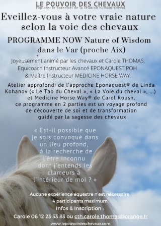 supervision, PROGRAMME NOW, coaching, linda kohanov, eponaquest, equicoach, carole thomas, accompagnement, développement personnel