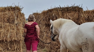 communication sentiente, programme NOW, eponaquest, linda kohanov, carol roush, carole thomas, le pouvoir des chevaux, medicine horse way, equicoaching, horsecoaching, developpement personnel, cheval