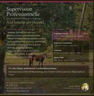 supervision, coaching, equicoach, carole thomas, accompagnement