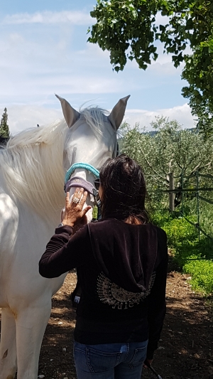 Eponaquest, medicine horse way, linda kovanov, tao du cheval, voie du cheval, carole thomas, equi coaching