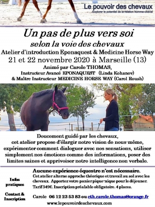 programme NOW, eponaquest, linda kohanov, carol roush, carole thomas, le pouvoir des chevaux, medicine horse way, equicoaching, horsecoaching, developpement personnel, cheval