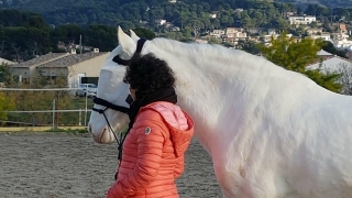 burn out,eponaquest,france,développement personnel,equicaoaching,carole thomas,le pouvoir des chevaux