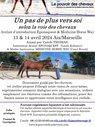 carole thomas, communication sentiente, programme NOW, eponaquest, linda kohanov, carol roush, carole thomas, le pouvoir des chevaux, medicine horse way, equicoaching, horsecoaching, developpement personnel, cheval