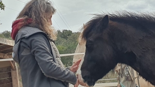 carole thomas, communication sentiente, programme NOW, eponaquest, linda kohanov, carol roush, carole thomas, le pouvoir des chevaux, medicine horse way, equicoaching, horsecoaching, developpement personnel, cheval