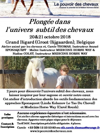 FLyer Atelier Univers Subtil Belgique octobre 2018.jpg