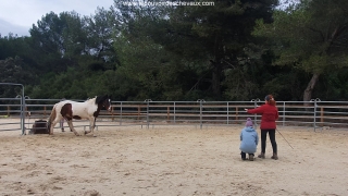 supervision, PROGRAMME NOW, coaching, linda kohanov, eponaquest, equicoach, carole thomas, accompagnement, développement personnel