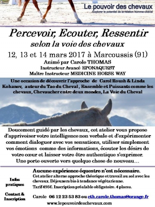 Flyer Atelier Percevoir mars 2017.jpg