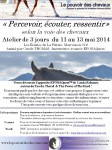 Flyer Atelier Percevoir La Futaie 11 mai 2014.jpg