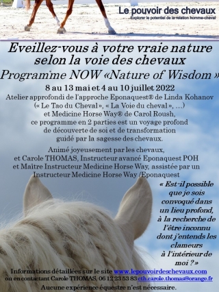 programme NOW, eponaquest, linda kohanov, carol roush, carole thomas, le pouvoir des chevaux, medicine horse way, equicoaching, horsecoaching, developpement personnel, cheval