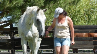 programme NOW, eponaquest, linda kohanov, carol roush, carole thomas, le pouvoir des chevaux, medicine horse way, equicoaching, horsecoaching, developpement personnel, cheval