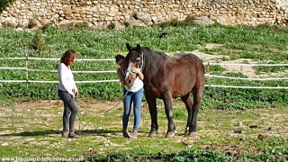 communication sentiente, programme NOW, eponaquest, linda kohanov, carol roush, carole thomas, le pouvoir des chevaux, medicine horse way, equicoaching, horsecoaching, developpement personnel, cheval