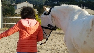 burn out,eponaquest,france,développement personnel,equicaoaching,carole thomas,le pouvoir des chevaux