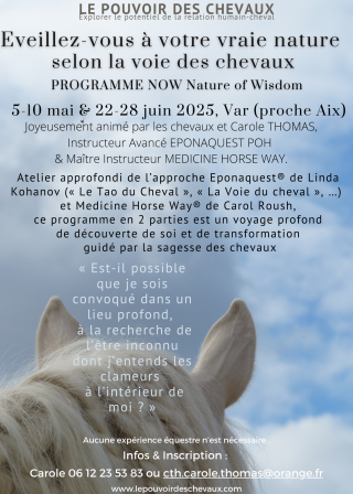 Marron Âgé Photo Bénévole Flyer (7).png