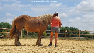 programme NOW, eponaquest, linda kohanov, carol roush, carole thomas, le pouvoir des chevaux, medicine horse way, equicoaching, horsecoaching, developpement personnel, cheval