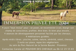 carole thomas, communication sentiente, immersion, programme NOW, eponaquest, linda kohanov, carol roush, carole thomas, le pouvoir des chevaux, medicine horse way, equicoaching, horsecoaching, developpement personnel, cheval