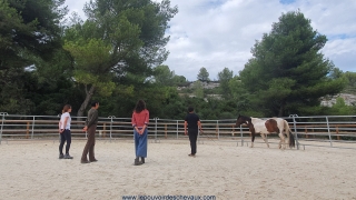 communication sentiente, programme NOW, eponaquest, linda kohanov, carol roush, carole thomas, le pouvoir des chevaux, medicine horse way, equicoaching, horsecoaching, developpement personnel, cheval