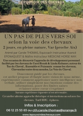 linda kohanov,carole thomas,instructeur epona quest,le tao du cheval,cheval,developpement personnel,france,ile de france,paris,equi coaching,equitation ethologique,relation homme cheval,andy booth,catherine booth,haras de la cense