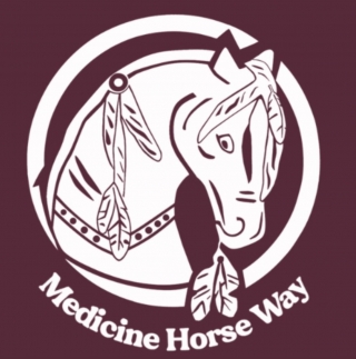 supervision, PROGRAMME NOW, coaching, linda kohanov, eponaquest, equicoach, carole thomas, accompagnement, développement personnel