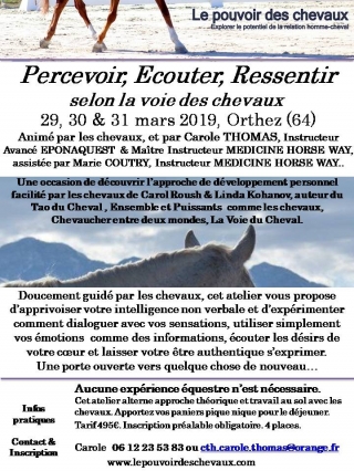 Flyer Atelier Percevoir Orthez mars 2019.jpg