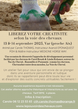 Marron Âgé Photo Bénévole Flyer (3).jpg