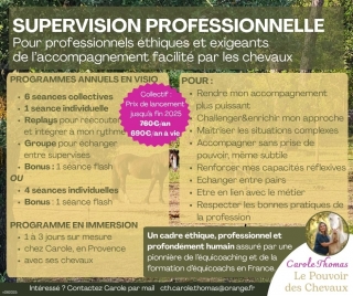 supervision, programme NOW, coaching, equicoach, carole thomas, accompagnement