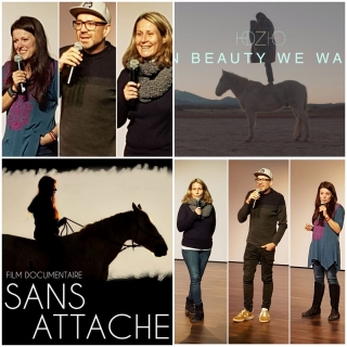 supervision, coaching, equicoach, carole thomas, accompagnement, programme now, developpement personnel