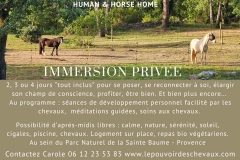linda kohanov,carole thomas,instructeur epona quest,le tao du cheval,cheval,developpement personnel,france,ile de france,paris,equi coaching,equitation ethologique,relation homme cheval,andy booth,catherine booth,haras de la cense