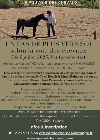 supervision, coaching, equicoach, carole thomas, accompagnement