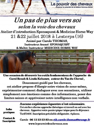 Flyer Atelier Introduction Limousin juillet 2018.jpg