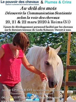 communication sentiente, programme NOW, eponaquest, linda kohanov, carol roush, carole thomas, le pouvoir des chevaux, medicine horse way, equicoaching, horsecoaching, developpement personnel, cheval