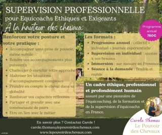 supervision, PROGRAMME NOW, coaching, linda kohanov, eponaquest, equicoach, carole thomas, accompagnement, développement personnel