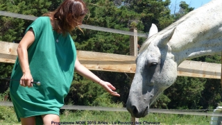 programme NOW, eponaquest, linda kohanov, carol roush, carole thomas, le pouvoir des chevaux, medicine horse way, equicoaching, horsecoaching, developpement personnel, cheval